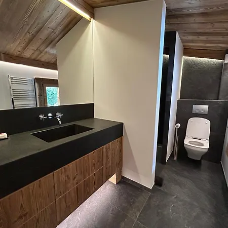 Magnifique A Avec Jacuzzi Et Sauna - Fr-1-343-268 Chalet *